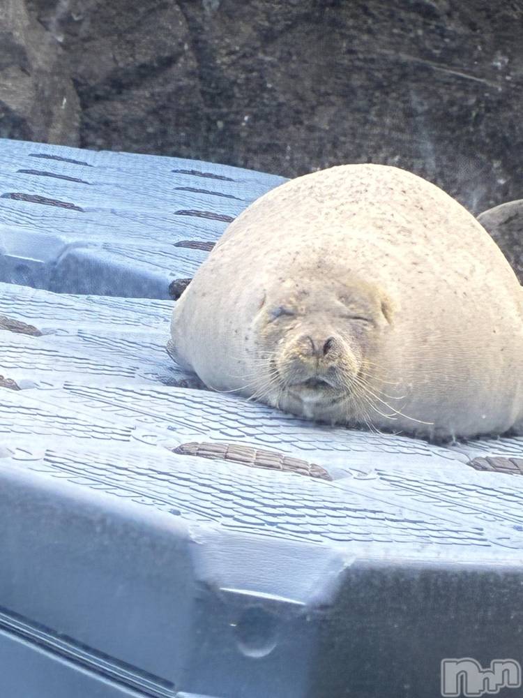 ��Ʋ����Х��顦�����Lounge Veranda(�饦�󥸥٥���) ����12��15���̥�֥����֤����