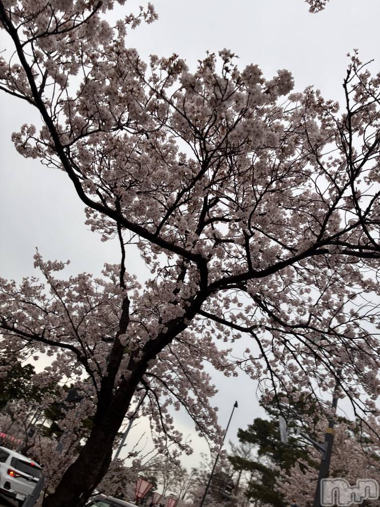 ��Ʋ����Х��顦�����Lounge Veranda(�饦�󥸥٥���) ����4��8���̥�֥����֤����