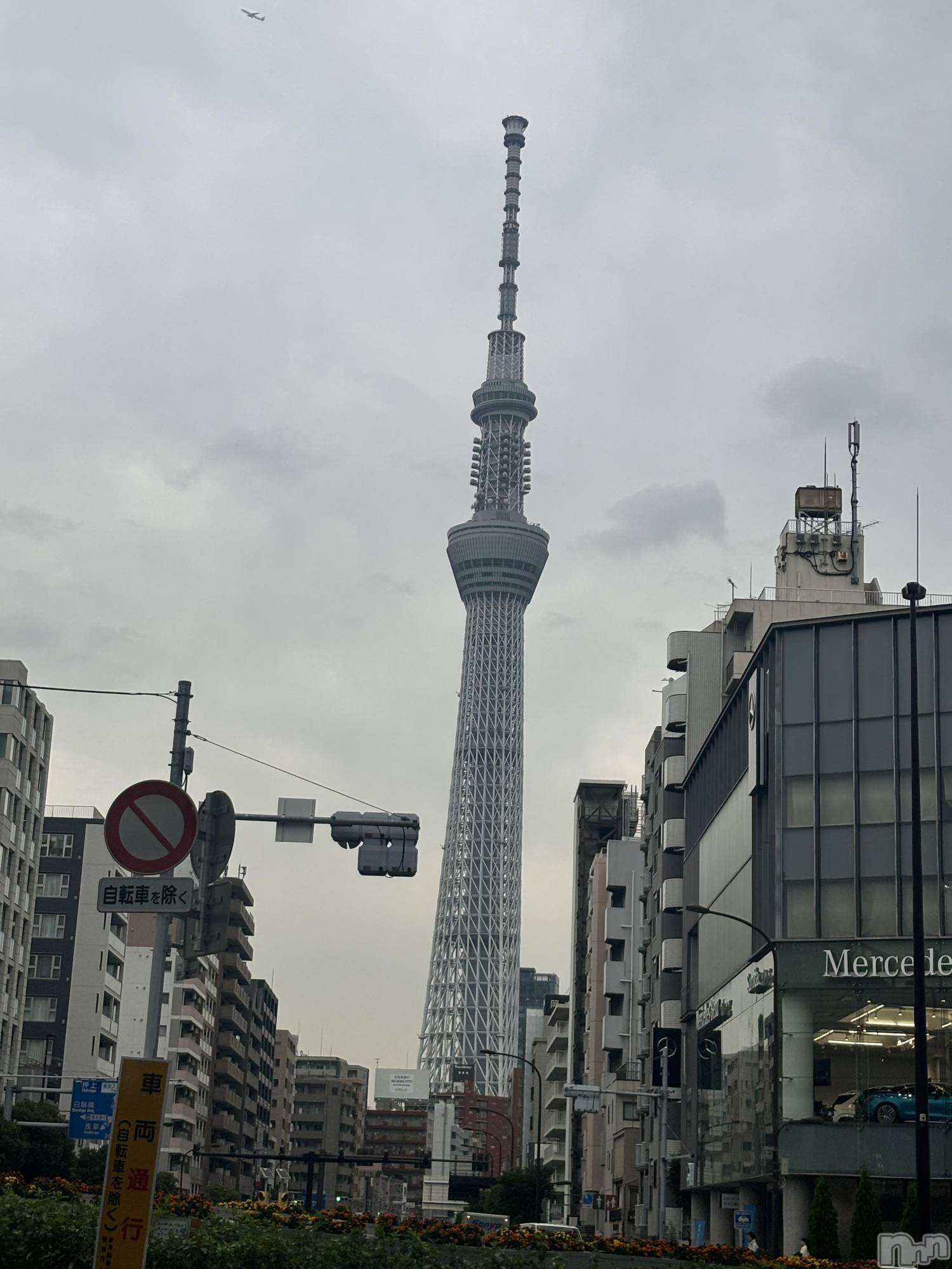 ƲХ顦Lounge Veranda(饦󥸥٥) 2025ǯ112ֽ̥֥жФޤ