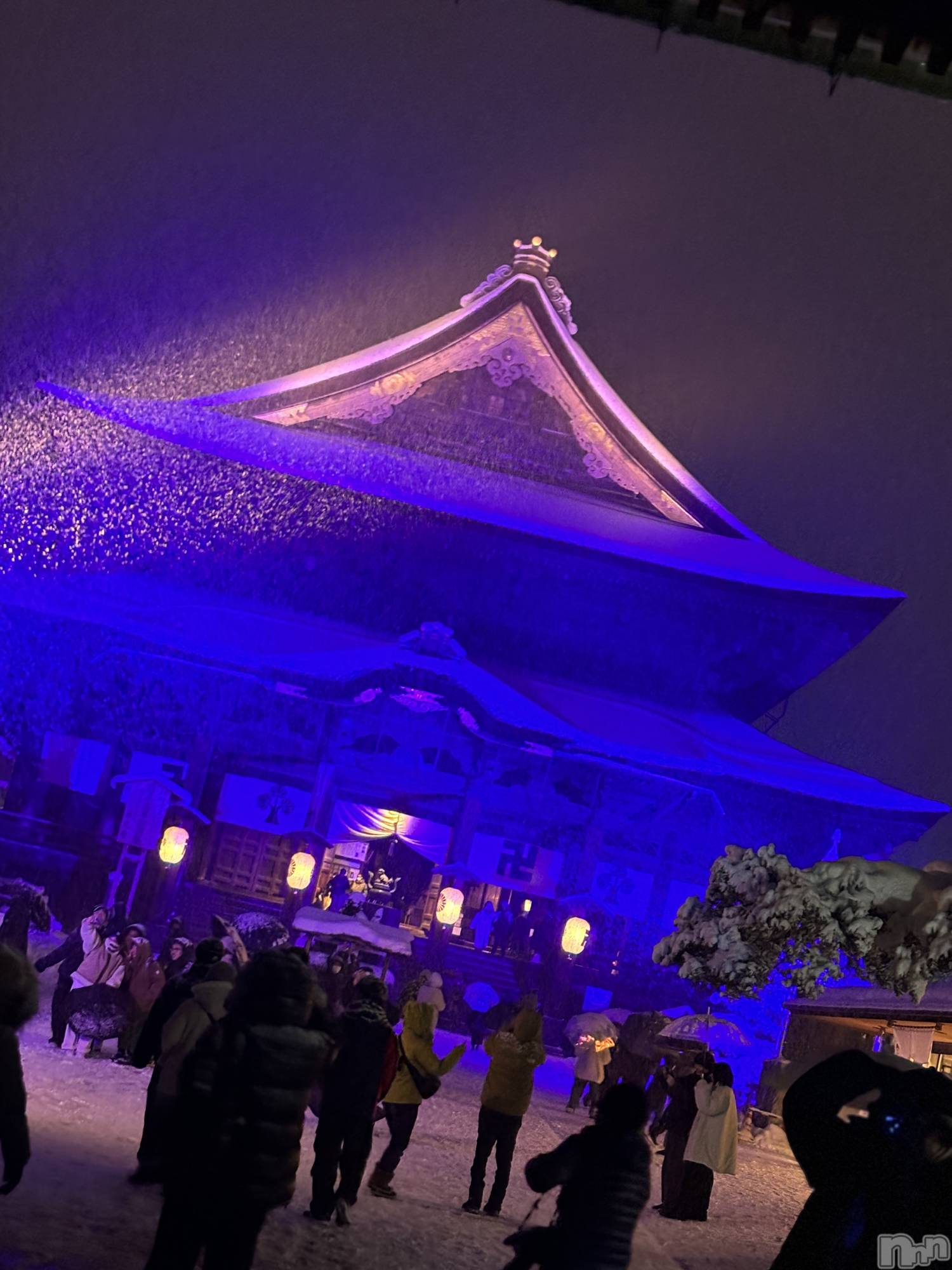 ƲХ顦Lounge Veranda(饦󥸥٥) 2025ǯ215ֽ̥֥жФޤ
