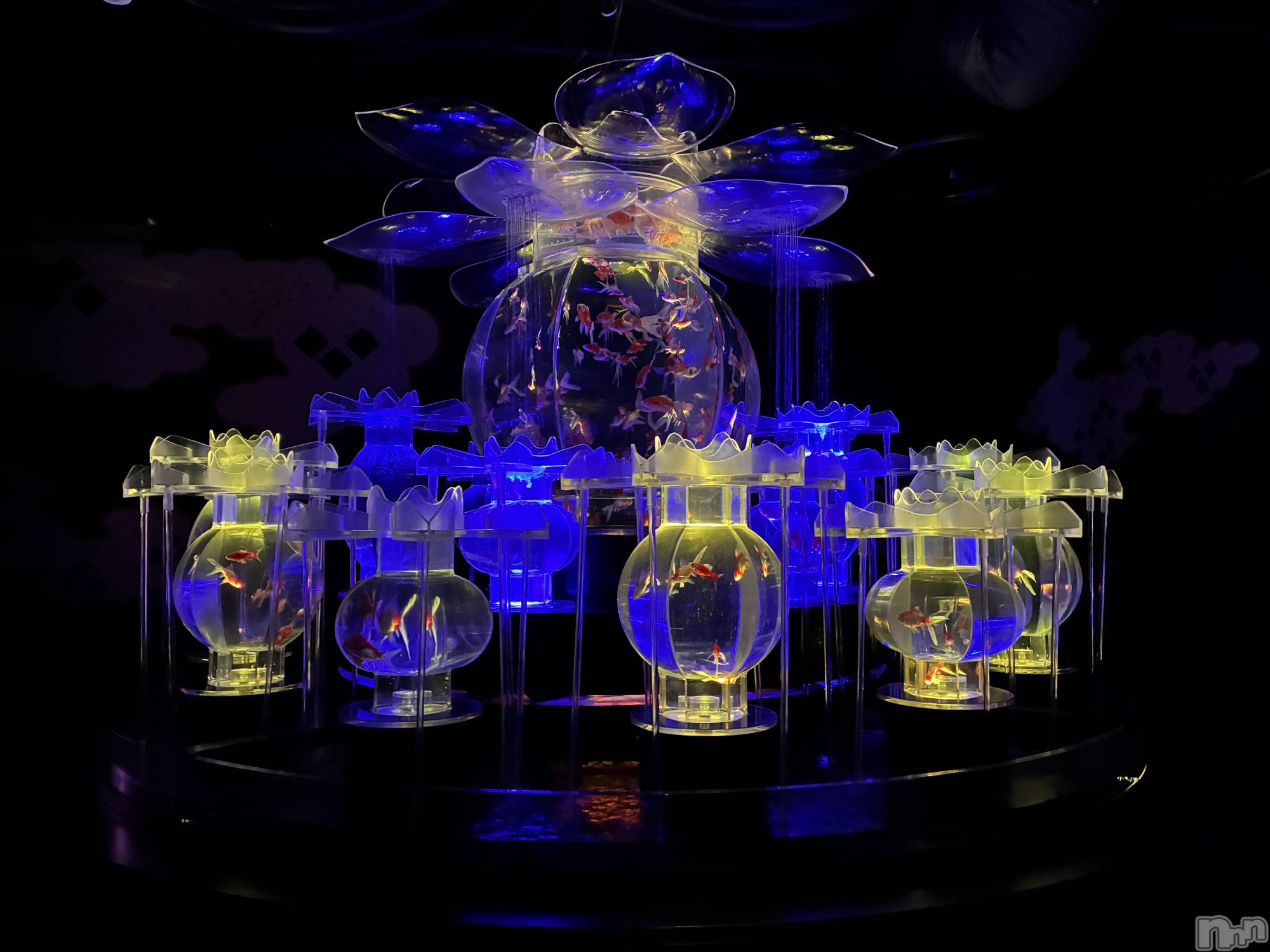 ƲХ顦Lounge Veranda(饦󥸥٥) 2025ǯ52ֽ̥֥жФƤޤ
