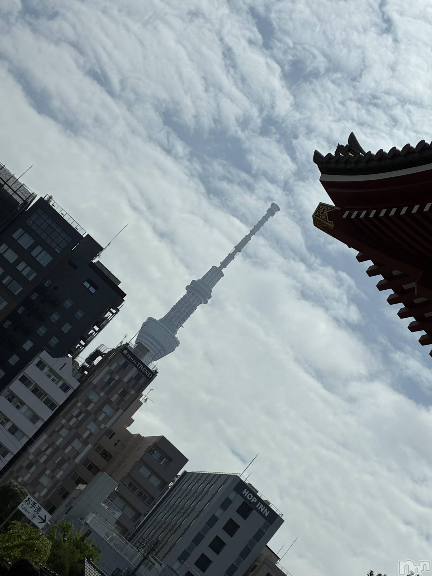 ƲХ顦Lounge Veranda(饦󥸥٥) 2025ǯ526ֽ̥֥жФƤޤ