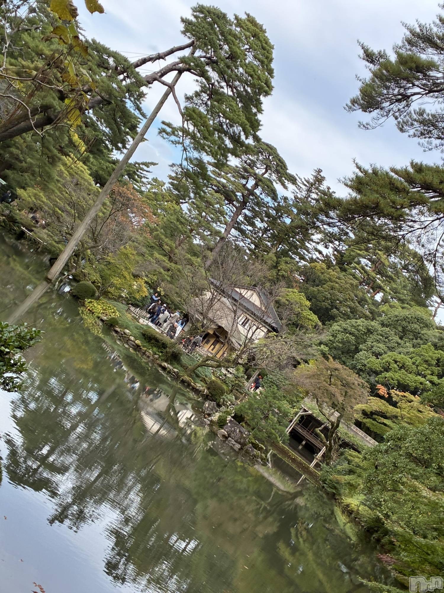 ƲХ顦Lounge Veranda(饦󥸥٥) 2025ǯ117̥֥֤