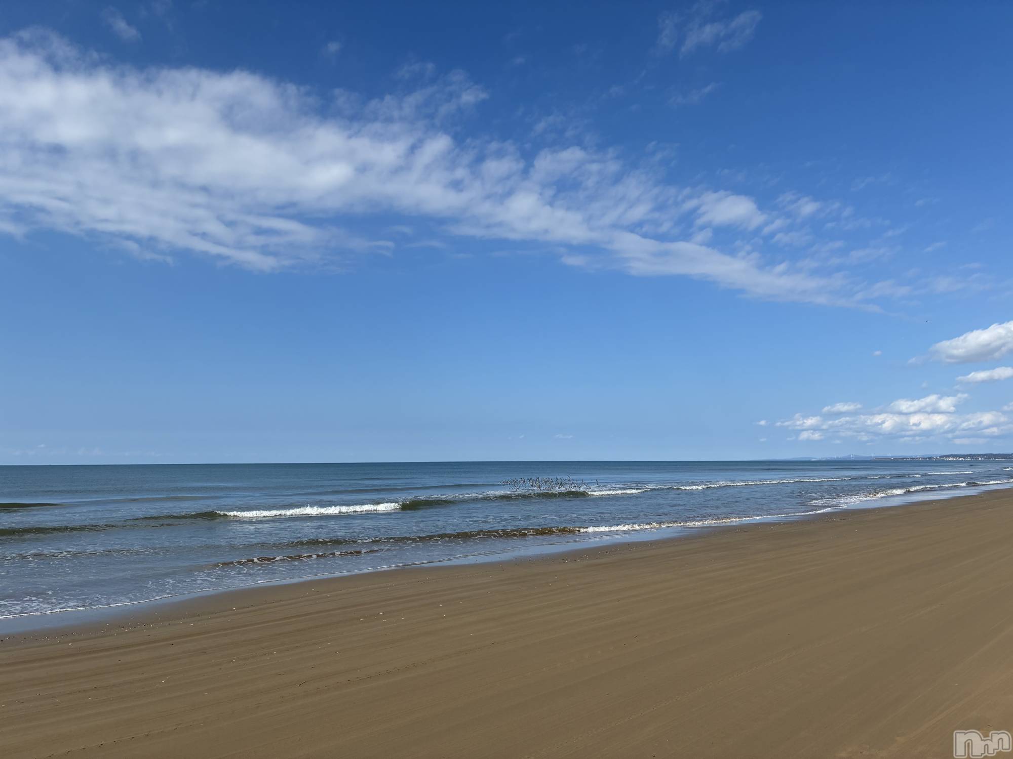 ƲХ顦Lounge Veranda(饦󥸥٥) 2025ǯ1111̥֥֤