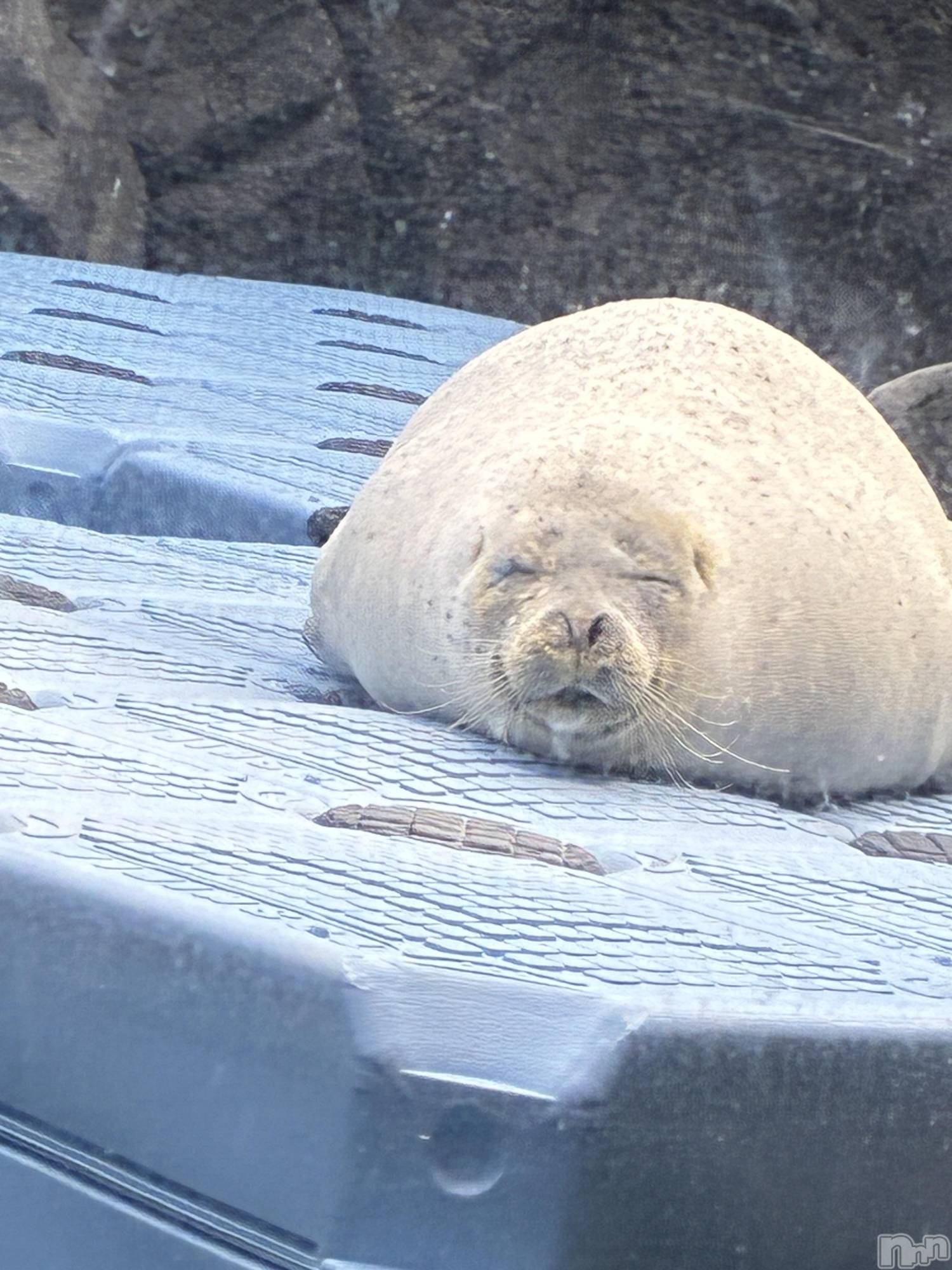 ��Ʋ����Х��顦�����Lounge Veranda(�饦�󥸥٥���) ��2025ǯ12��15���̥�֥����֤����