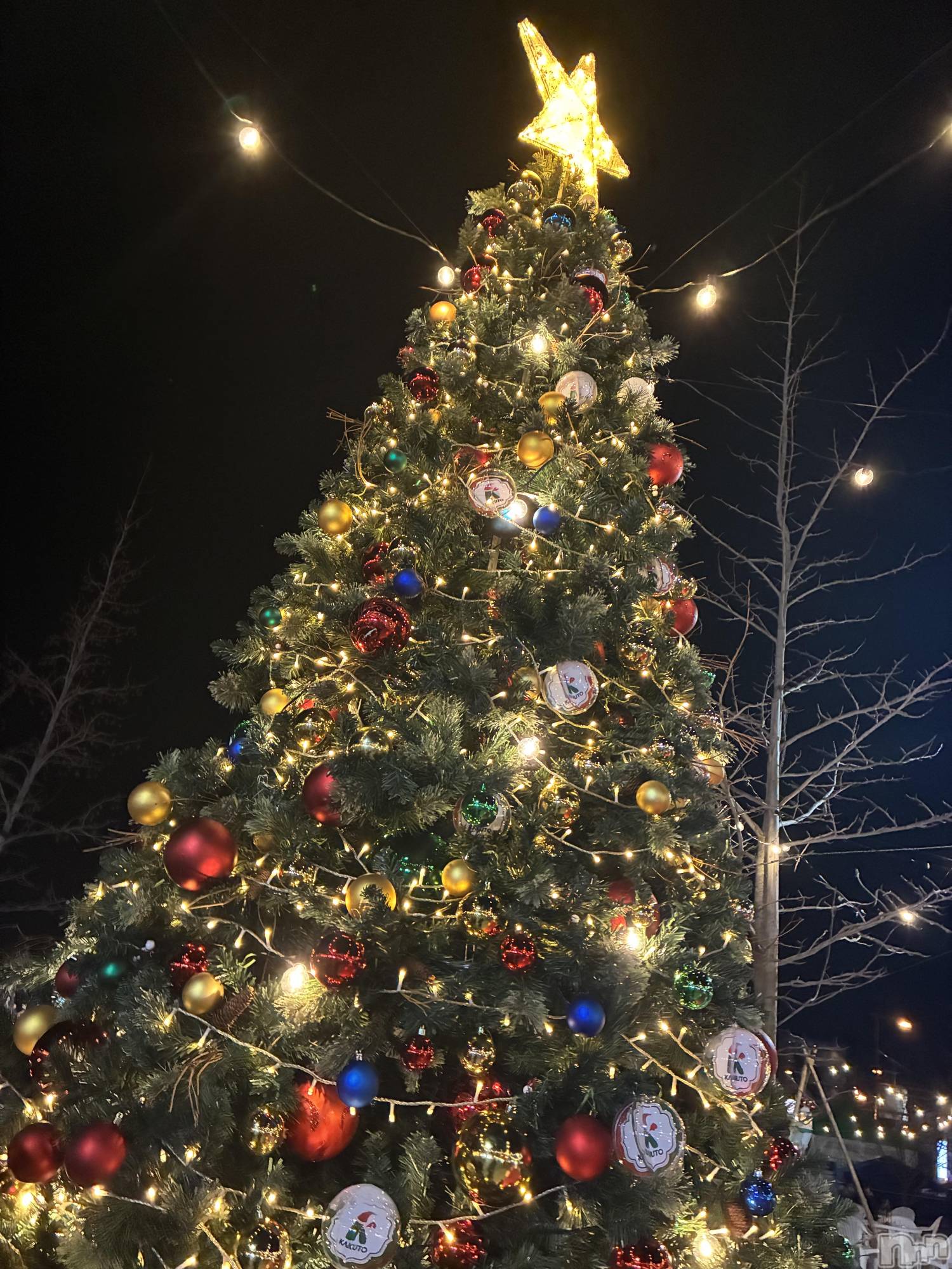 ��Ʋ����Х��顦�����Lounge Veranda(�饦�󥸥٥���) ��2025ǯ12��24���̥�֥����֤����