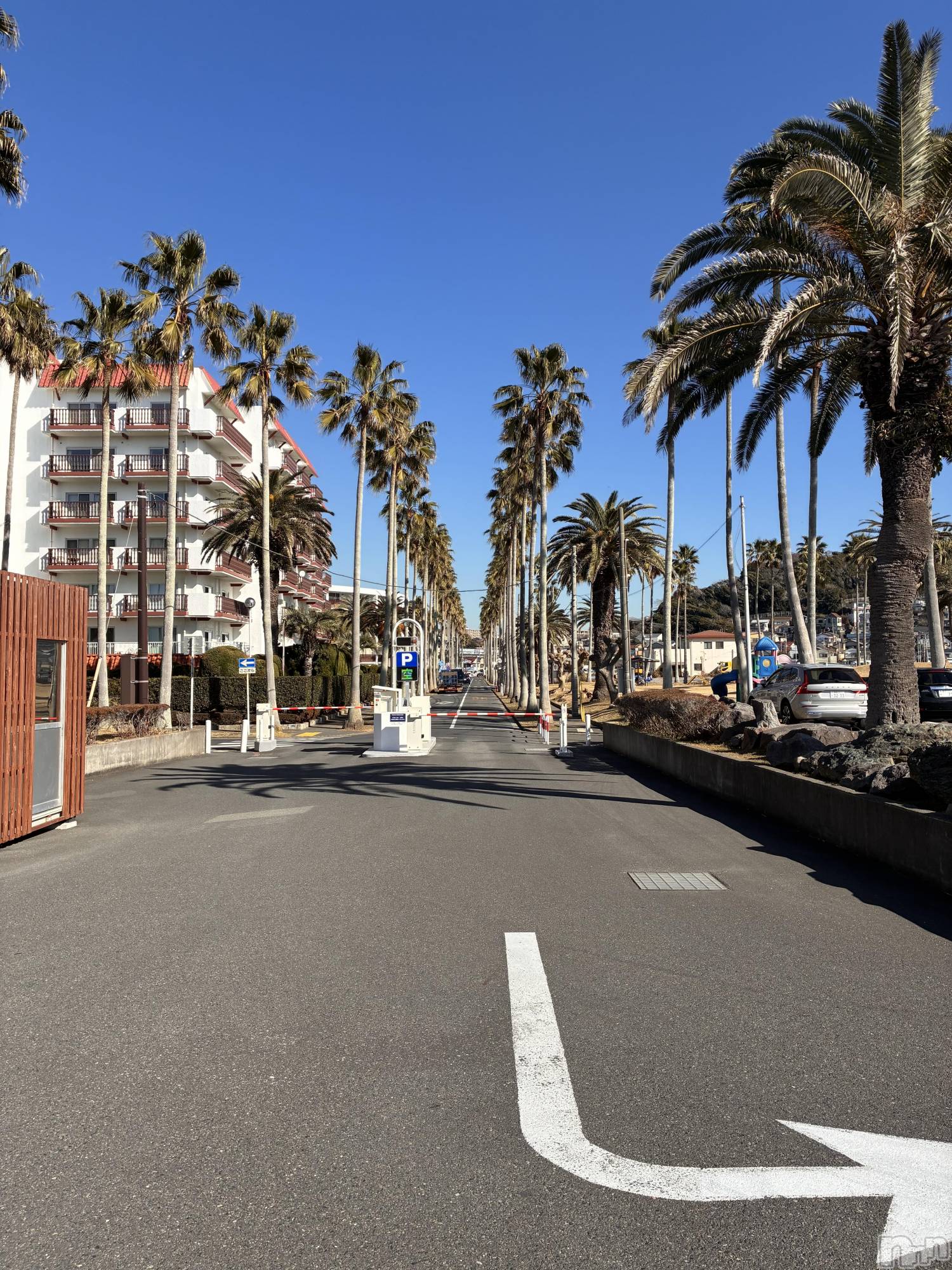 ��Ʋ����Х��顦�����Lounge Veranda(�饦�󥸥٥���) ��2026ǯ1��20���̥�֥����֤����