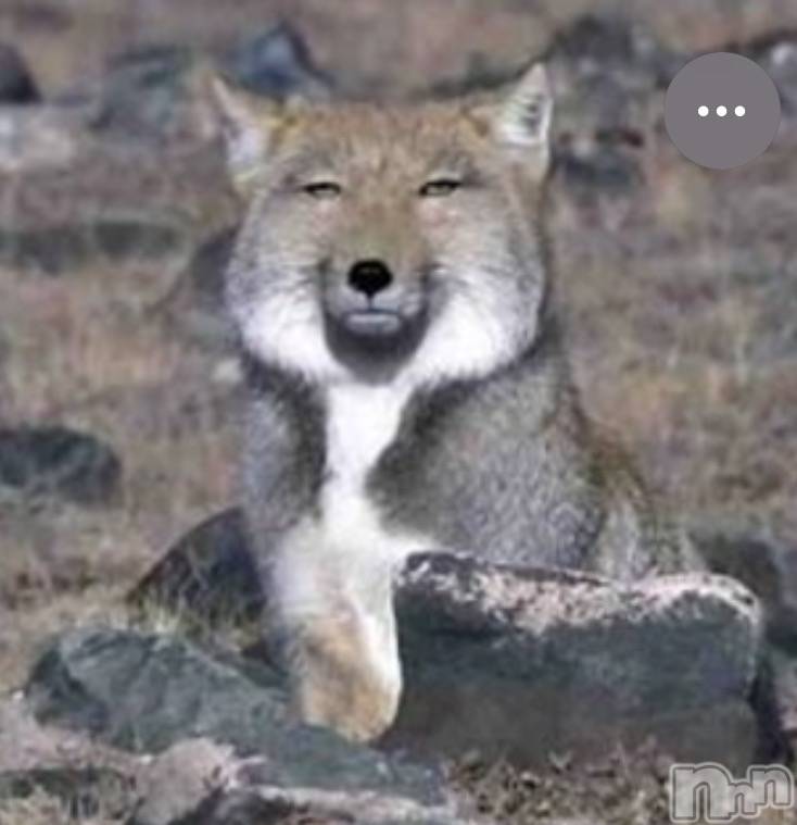 ��Ʋ����Х��顦�����Lounge Veranda(�饦�󥸥٥���) ��2026ǯ2��26���̥�֥����֤����