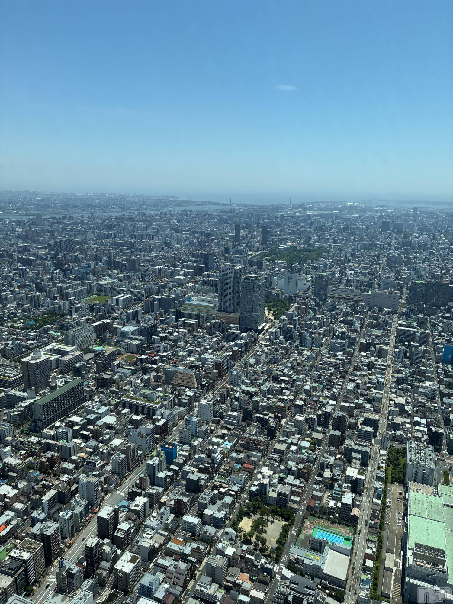 ��Ʋ����Х��顦�����Lounge Veranda(�饦�󥸥٥���) ��2026ǯ3��19���̥�֥����֤����