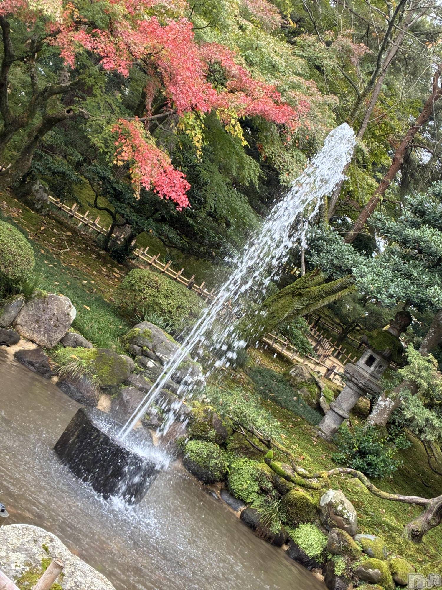 ��Ʋ����Х��顦�����Lounge Veranda(�饦�󥸥٥���) ��2026ǯ4��9���̥�֥����֤����