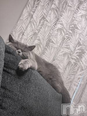 ƲХ顦Lounge Veranda(饦󥸥٥) 1015̥֥֤