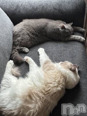 ƲХ顦Lounge Veranda(饦󥸥٥) 1023̥֥֤