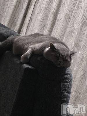 ƲХ顦Lounge Veranda(饦󥸥٥) 1120̥֥֤