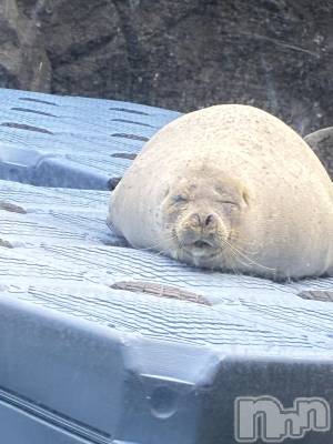 ��Ʋ����Х��顦�����Lounge Veranda(�饦�󥸥٥���) ����12��15���̥�֥����֤����