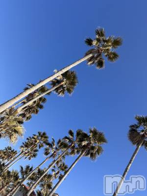 ��Ʋ����Х��顦�����Lounge Veranda(�饦�󥸥٥���) ����1��16���̥�֥����֤����