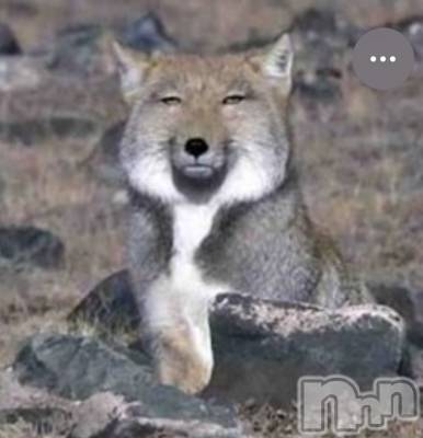 ��Ʋ����Х��顦�����Lounge Veranda(�饦�󥸥٥���) ����2��26���̥�֥����֤����