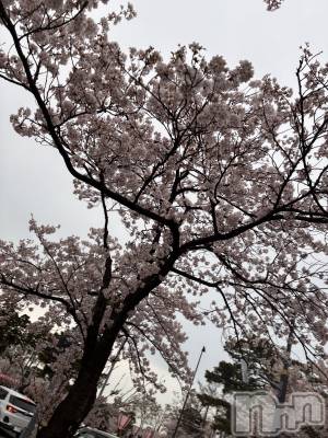 ��Ʋ����Х��顦�����Lounge Veranda(�饦�󥸥٥���) ����4��8���̥�֥����֤����