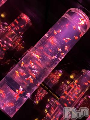 ��Ʋ����Х��顦�����Lounge Veranda(�饦�󥸥٥���) ����5��14���̥�֥����֤����
