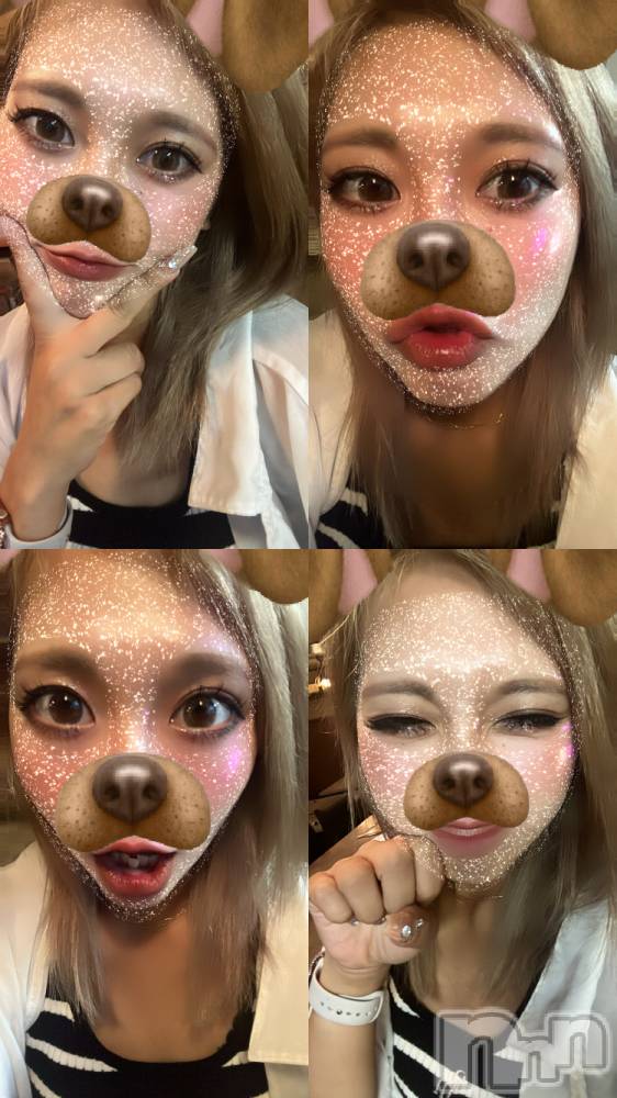 ȯѥ˥󥯥֥ϥ饹ѡץ쥸(ϥ饹ѥץ쥸) 餤926̥֥֥🐶