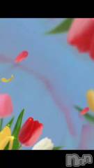 新潟デリヘル奥様特急 新潟店(オクサマトッキュウニイガタテン) ゆみ(61)の3月7日動画「💝暖かくしてお過ごし下さい」