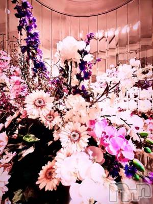 新潟デリヘル 奥様特急 新潟店(オクサマトッキュウニイガタテン) まきみ(20)の4月17日写メブログ「⚜️見透かされてしまった⚜️」
