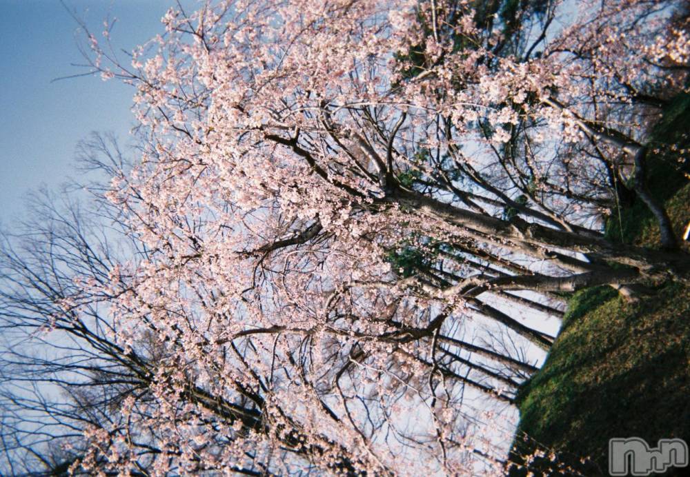 Х顦֥֥֥饦󥸤ޤʤߤ(֥֥饦󥸥ޥʥߥ) ߤʤߤ424ֺ̥֥🌸