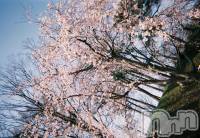 Х顦֥֥֥饦󥸤ޤʤߤ(֥֥饦󥸥ޥʥߥ) ߤʤ(24)424ֺ̥֥🌸