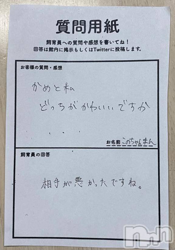 長岡人妻デリヘルBIANCA～主人の知らない私～長岡店(ビアンカナガオカテン) 清家　るみな(43)の2月8日写メブログ「カメと私、どっちが可愛いか問題」