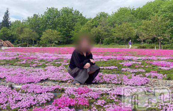 長岡デリヘルBIANCA～主人の知らない私～長岡店(ビアンカナガオカテン) 清家　るみな(43)の5月17日写メブログ「芝桜綺麗でした💖」