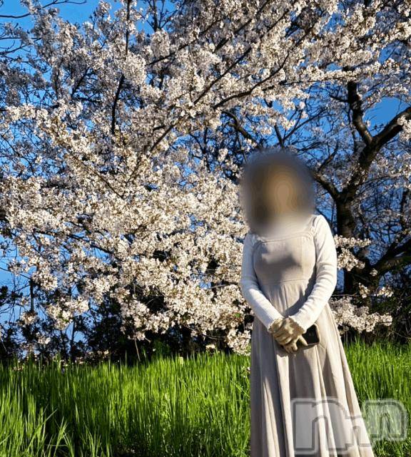 長岡デリヘルBIANCA～主人の知らない私～長岡店(ビアンカナガオカテン)清家　るみな(43)の2025年4月11日写メブログ「桜🌸」