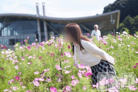 長岡デリヘルBIANCA～主人の知らない私～長岡店(ビアンカナガオカテン)清家　るみな(43)の2026年9月28日写メブログ「秋桜🩷」