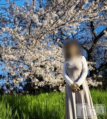 長岡デリヘル BIANCA～主人の知らない私～長岡店(ビアンカナガオカテン) 清家　るみな(43)の4月11日写メブログ「桜🌸」