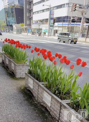 長岡デリヘル BIANCA～主人の知らない私～長岡店(ビアンカナガオカテン) 清家　るみな(43)の4月19日写メブログ「かわいい🌷」