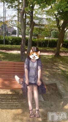 新潟デリヘル A(エース) りさ(R)(30)の10月10日写メブログ「[お得なお知らせあり]お散歩♪⋆*॰･*⟡.⋆」