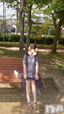 りさ(R)(30) 身長162cm、スリーサイズB85(D).W60.H86。新潟デリヘル A(エース)在籍。