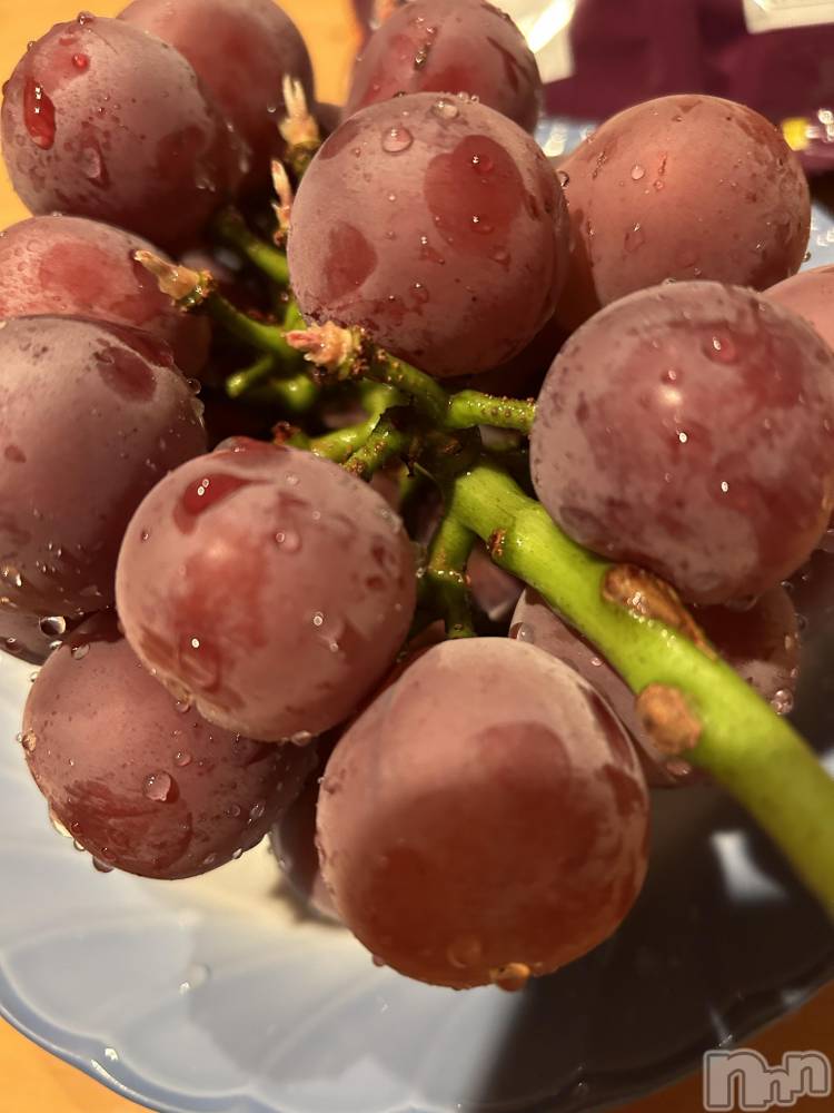 ��ˬ����Х��顦����֥���� �ץ���� ��ˬ(����� �ץ���� ����) ��ƣ �ꤵ��9��28���̥�֥�����😎👯‍��️��