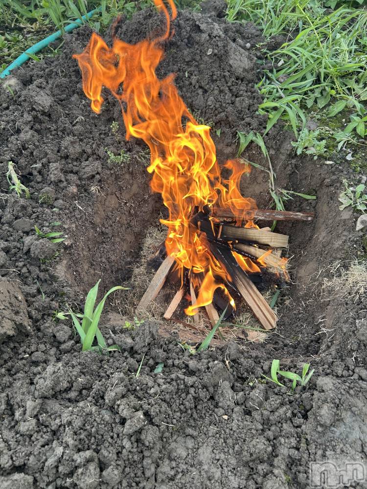 ��ˬ����Х��顦����֥���� �ץ���� ��ˬ(����� �ץ���� ����) ��ƣ �ꤵ��7��17���̥�֥�����🌹✨��