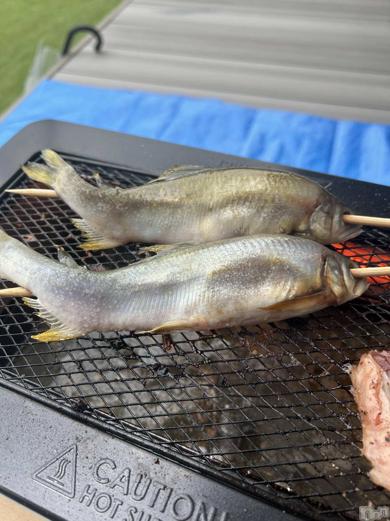 ��ˬ����Х��顦����֥���� �ץ���� ��ˬ(����� �ץ���� ����) ��2025ǯ7��10���̥�֥�����🌹��