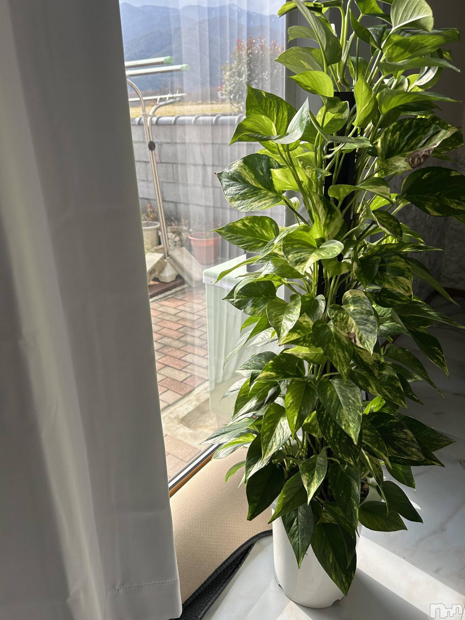 ��ˬ����Х��顦����֥���� �ץ���� ��ˬ(����� �ץ���� ����) ��2025ǯ12��3���̥�֥�����🌹✨��