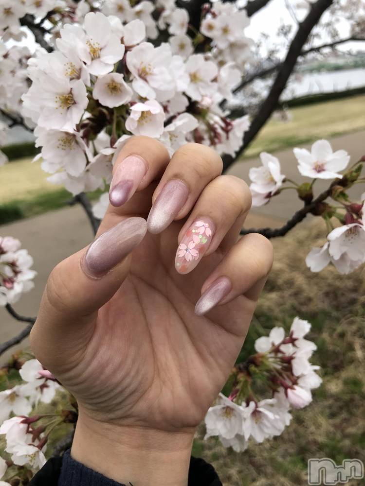 Х顦Diletto(ǥå) 1022̥֥֤Ǥˡ