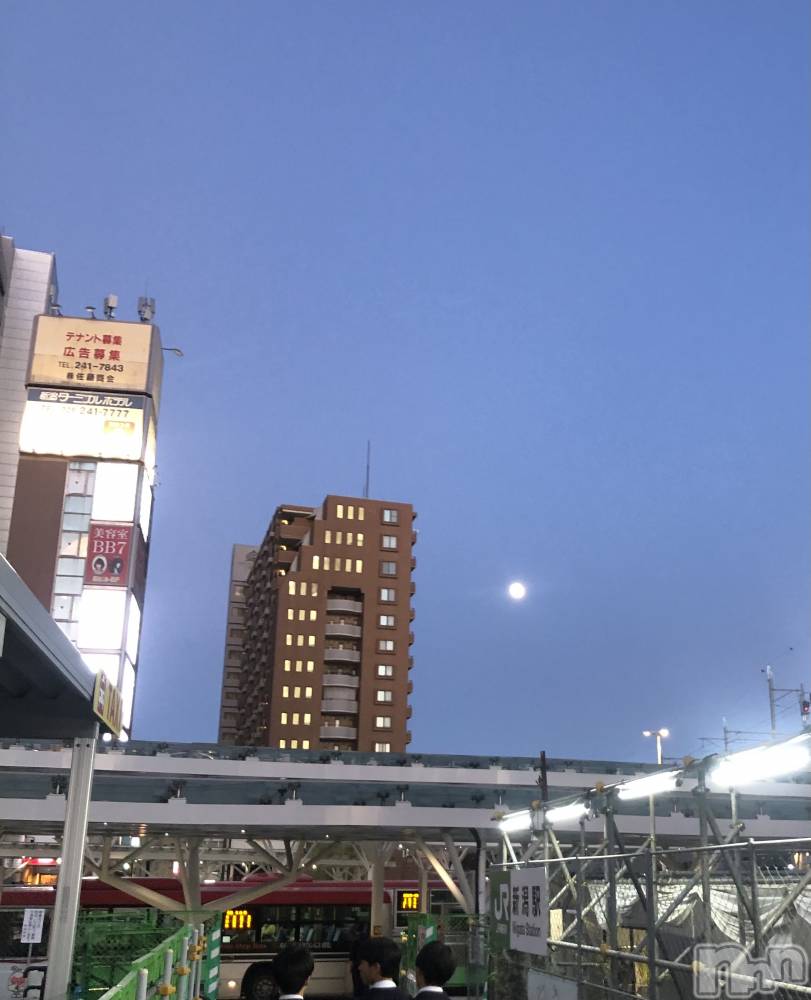 Х顦Diletto(ǥå) 114ֻ̥֥פ鷺