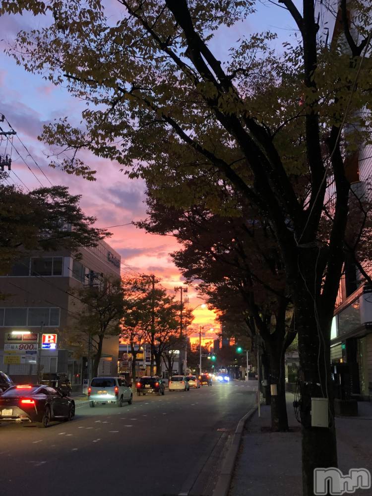 Х顦Diletto(ǥå) 116̥֥ͼ