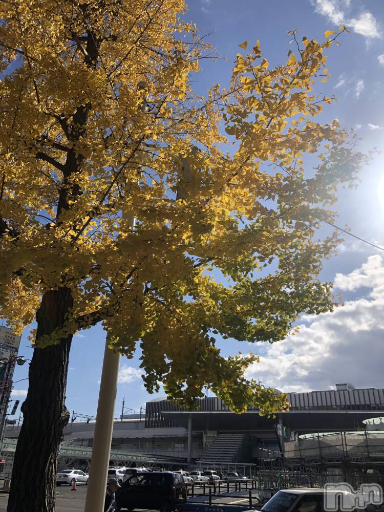 Х顦Diletto(ǥå) 1114ֶ̥֥