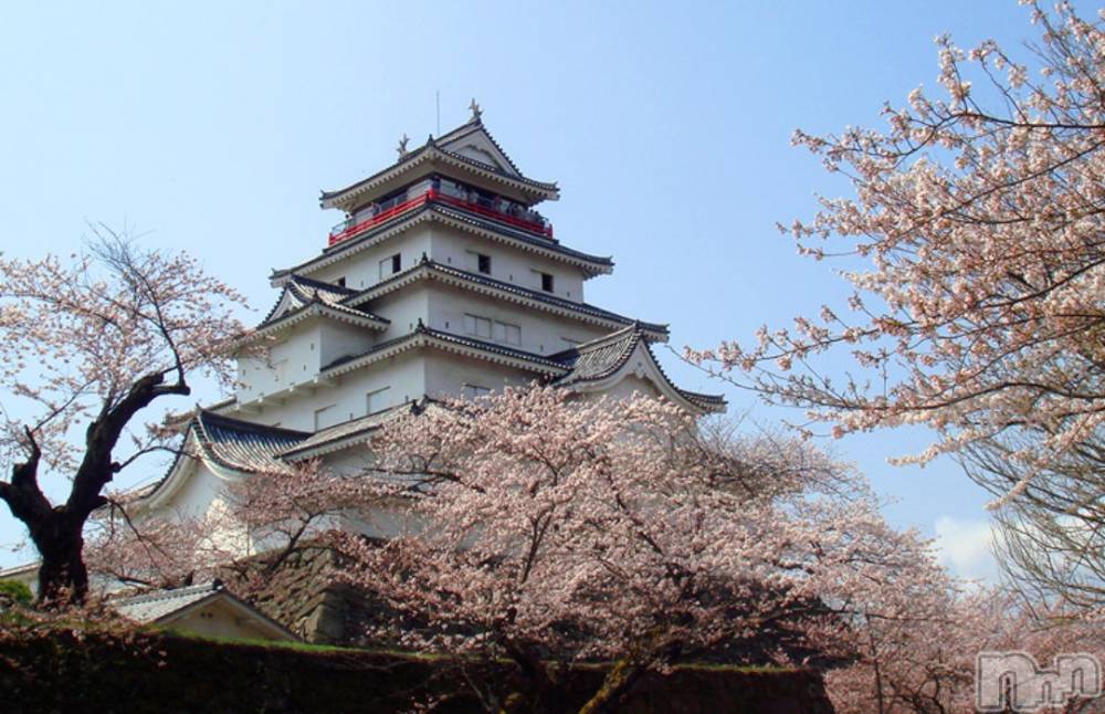 Х顦Diletto(ǥå) 1024̥֥־ᤰ