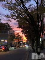 Х顦Diletto(ǥå) (29)116̥֥ͼ