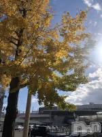 Х顦Diletto(ǥå) (29)1114ֶ̥֥