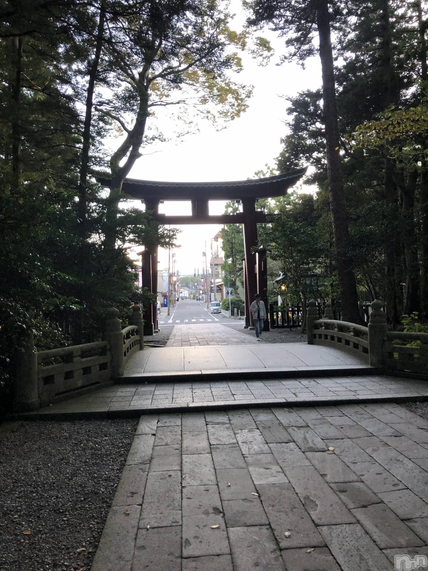 Х顦Diletto(ǥå) 2025ǯ113̥֥֤