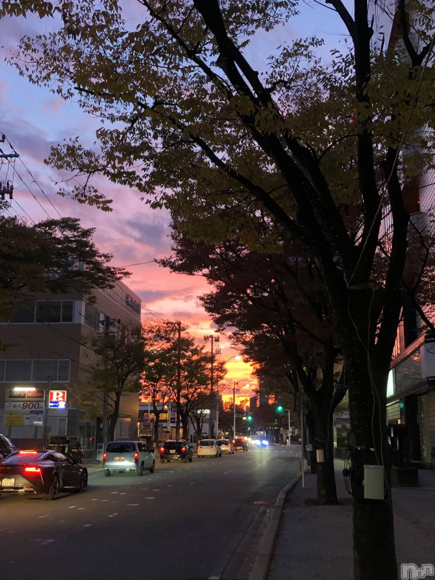 Х顦Diletto(ǥå) 2025ǯ116̥֥ͼ