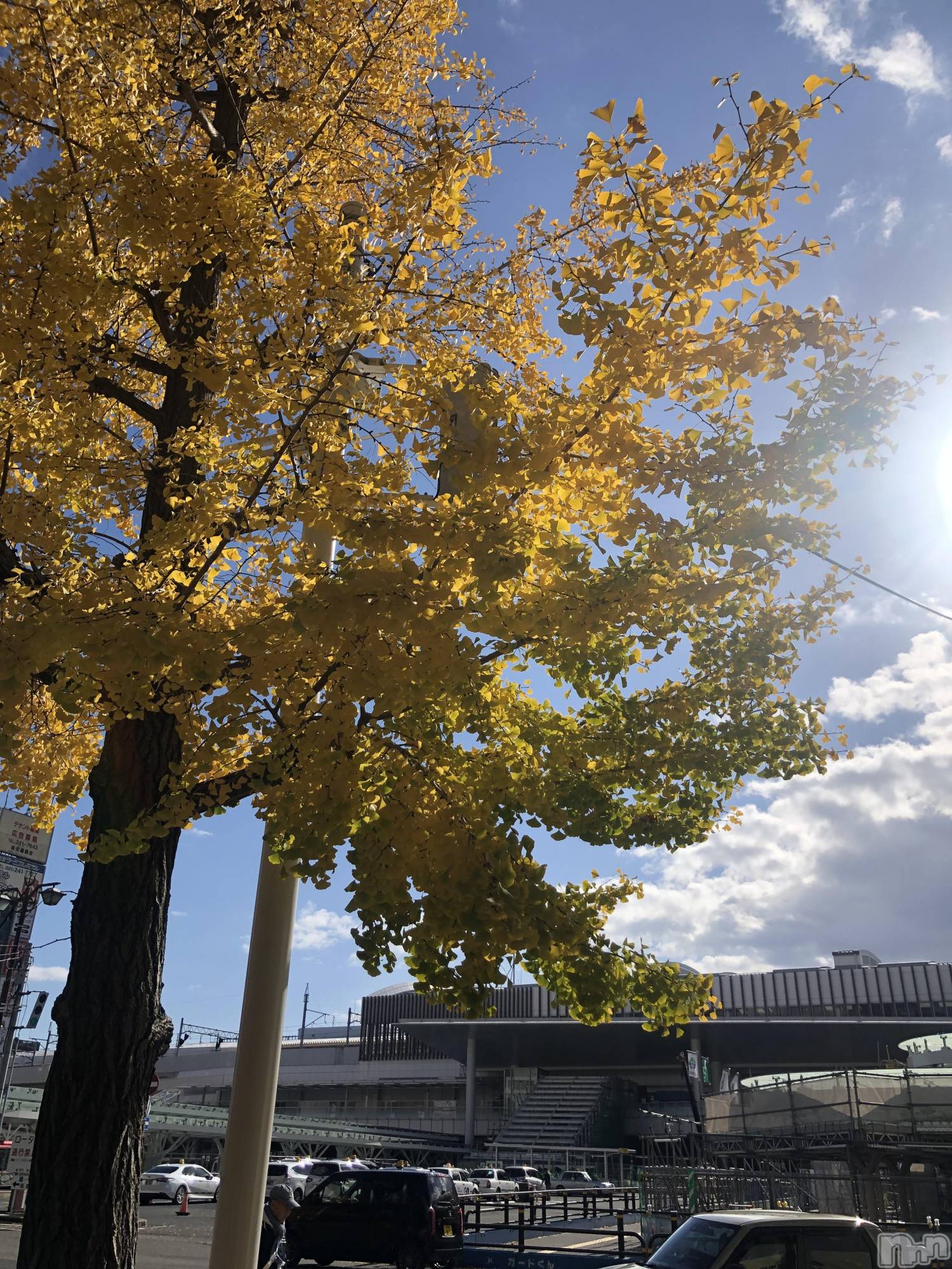 Х顦Diletto(ǥå) 2025ǯ1114ֶ̥֥