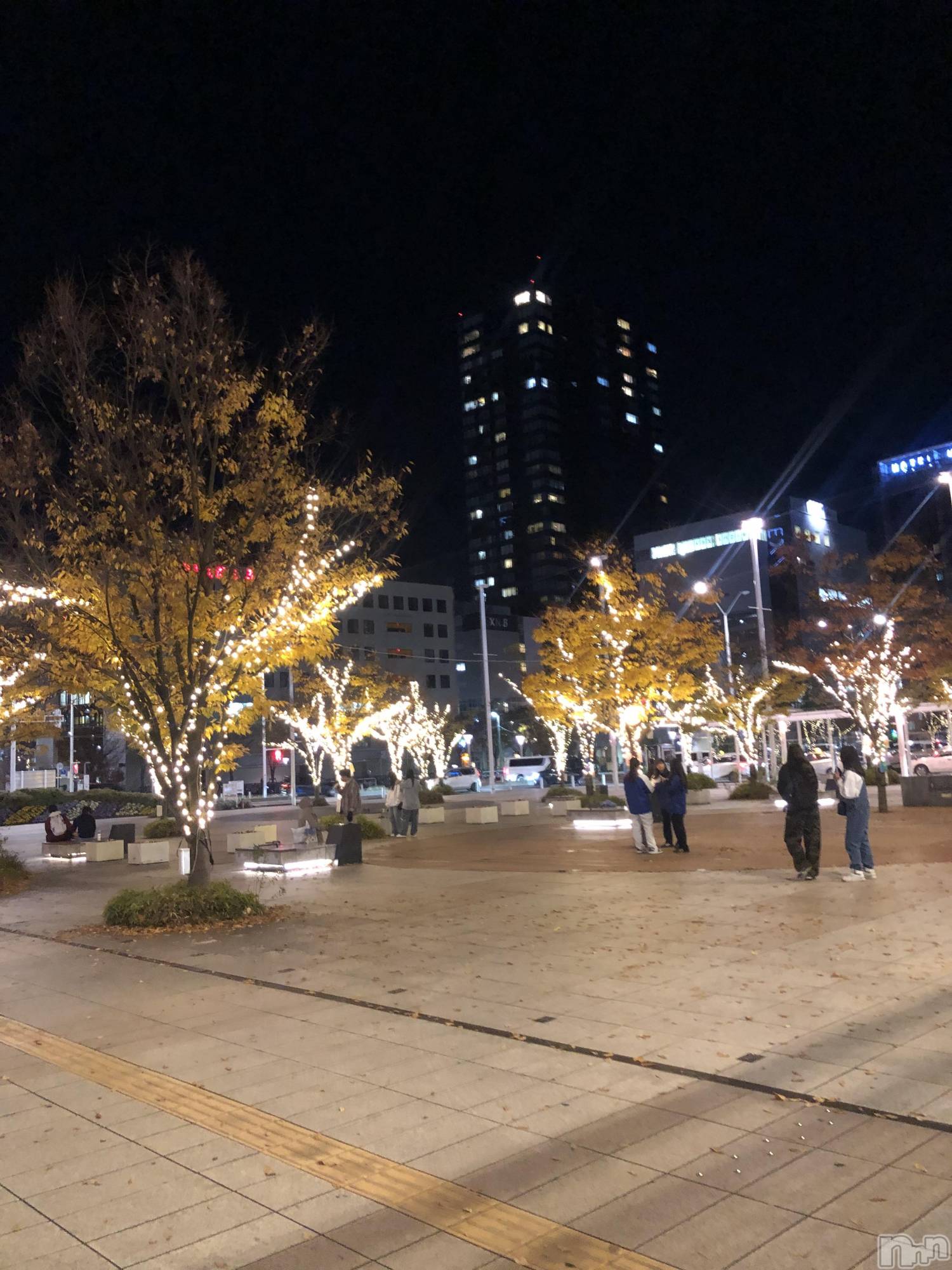 Х顦Diletto(ǥå) 2025ǯ1116̥֥֤졩